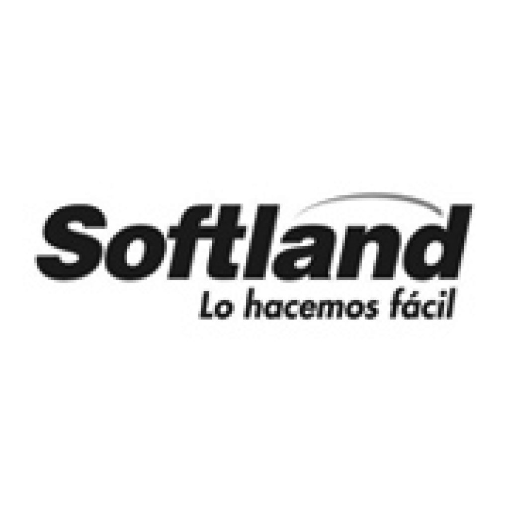 metamorfosys-diseño-web-softland